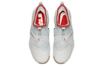Кроссовки Nike Lebron Soldier 12 Light Bone
