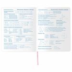 Дневник 1-11 класс 48 л., кожзам (гибкая), печать, фольга, BRAUBERG, "ПАСТЕЛЬНЫЙ", 105972