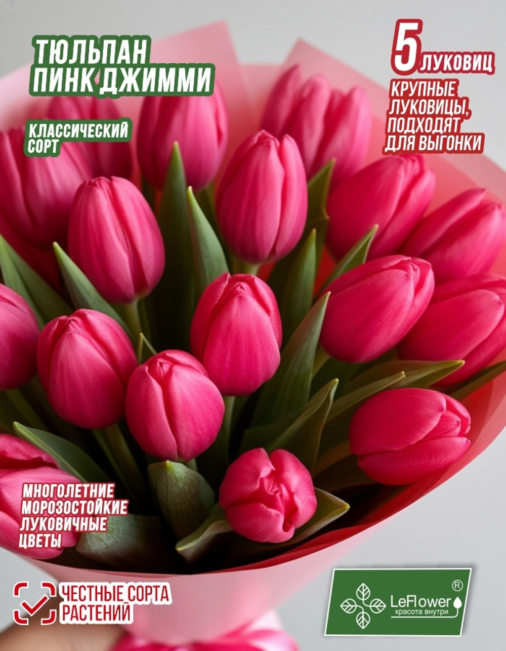 Тюльпан Луковица, Пинк Джимми, 5 шт, разбор 12+