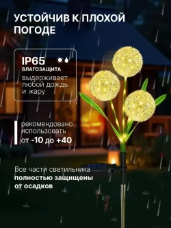 Duotuo Уличный светильник