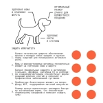 AJO (Айо) Dog Puppy & Junior Сухой полнорационный корм с гречкой для щенков и молодых собак средних и крупных пород, 2 кг