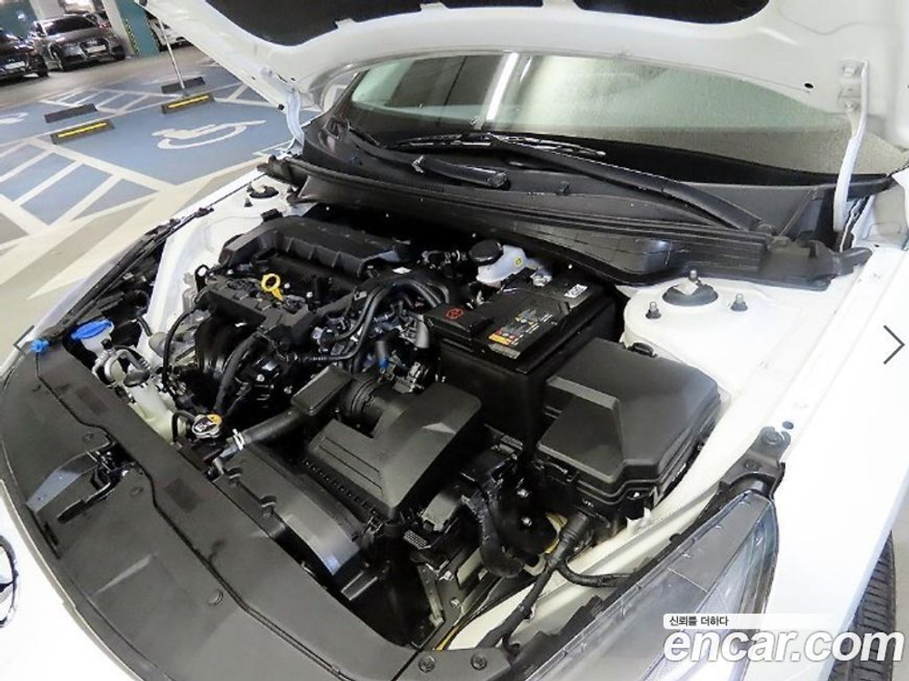 Hyundai Avante (CN7) 1.6 (12.2020)
