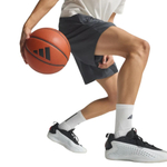 Баскетбольные шорты adidas Anthony Edwards Foundation Shorts Gray