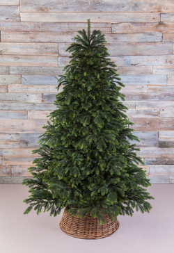 Ель 365см Black Box Раскидистая зеленая