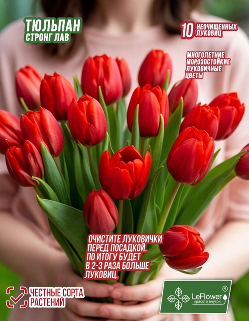 Тюльпан Луковица, Стронг Лав, 10шт