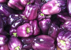 Перец Текила F1 5шт Мировые Семена VITA GREEN