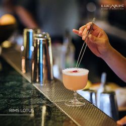 Рюмка коктейльная 250 мл хр. стекло Lotus " " d 8,8 см h11,2 см Lucaris [6]