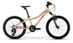 Детский велосипед Merida Matts J20 Eco (2021)