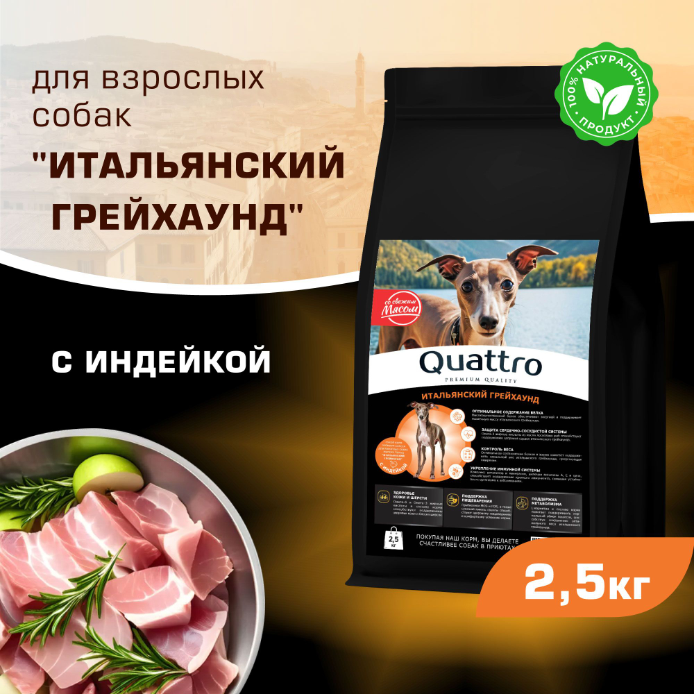 Корм сухой для взрослых собак породы Итальянский грейхаунд, с индейкой, 2,5 кг, QUATTRO