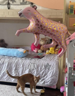 Шар (41"/104 см) Фигура, Леопард, Розовый