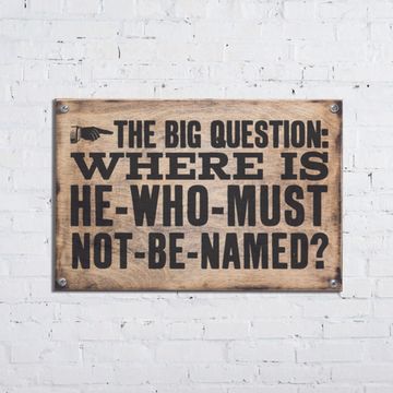 Постер Гарри Поттер The Big Question WSS001