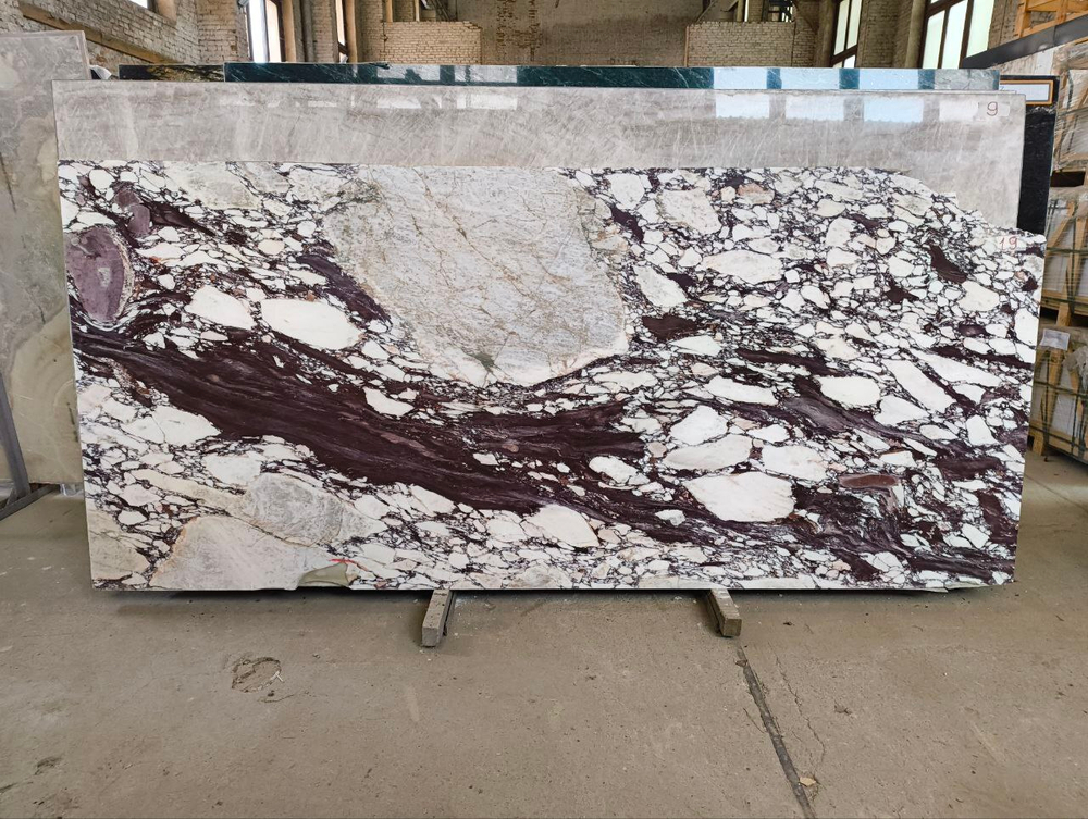 Каллаката Виола