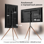 Кронштейн для телевизора напольный 32"-65" , ONKRON TS1220 черный