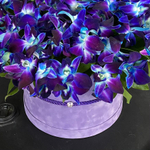 Букет из космических орхидей «Мегастар фиолет 201»
