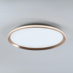 Потолочный светодиодный cветильник LED4U L3020-500 GD