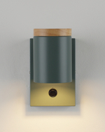 Светильник настенный Moderli V11294-1W Asheswood