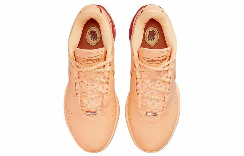Кроссовки Nike Lebron 21