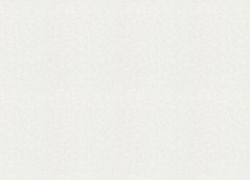 Otaru / Kumano / Surface