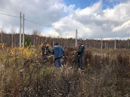 Вынос границ участков в «Усадьбе Романово»