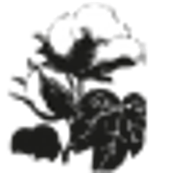 НОСКИ MUND 333 TIMANFAYA CO