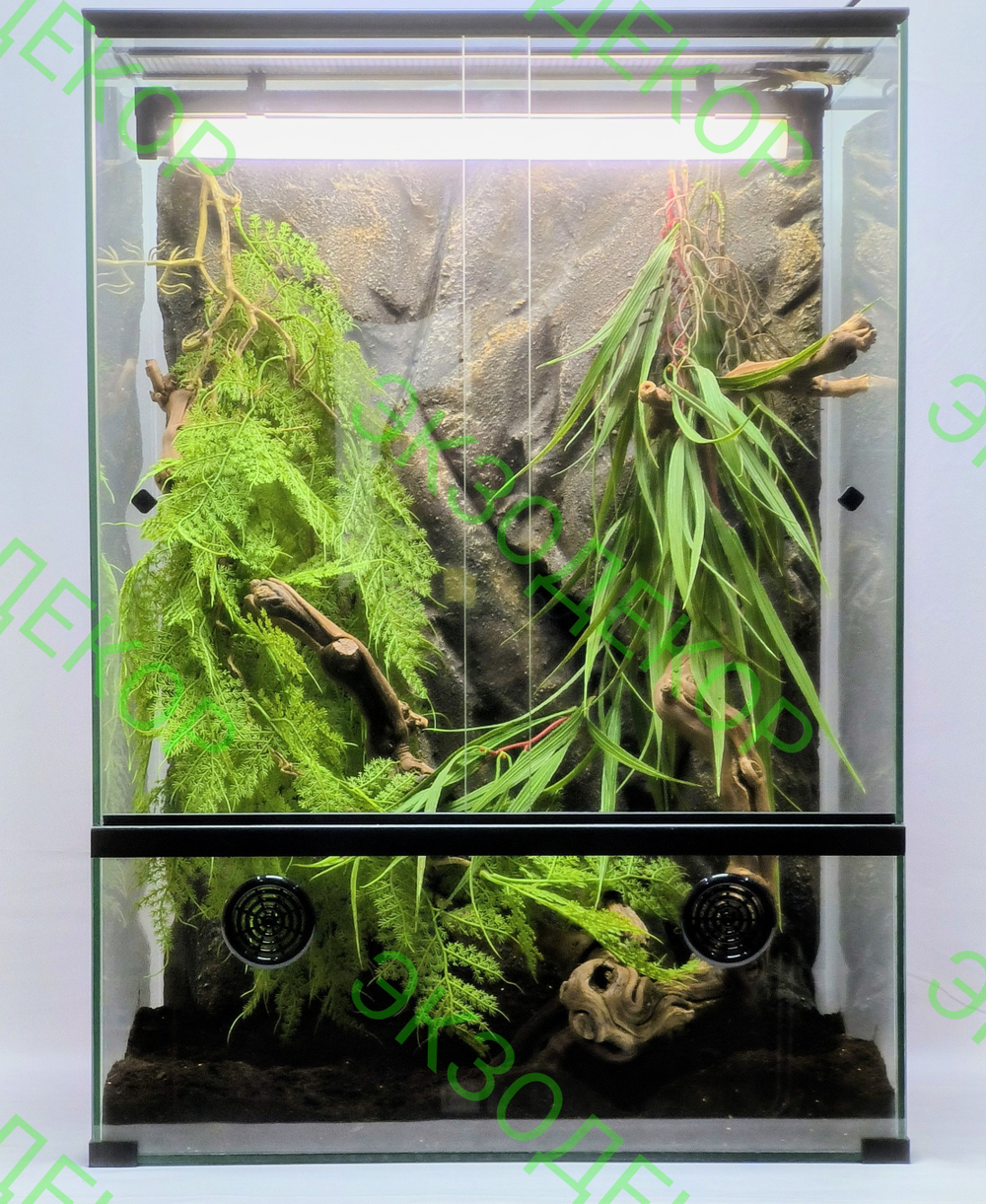 Полный комплект для Бананоеда. Террариум 40х30х60 и всё необходимое для содержания.