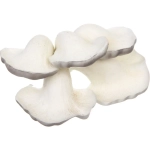 Фигура садовая «Вешенки» 10*14 см, серый