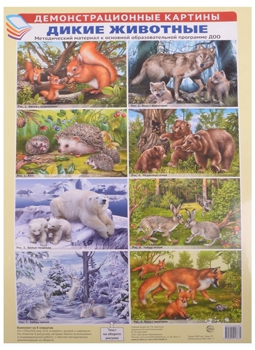 Плакат Набор"Дикие животные" И