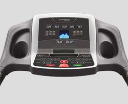 Svensson Body Labs OrthoLine TRX