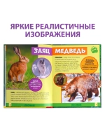 Энциклопедия В мире животных