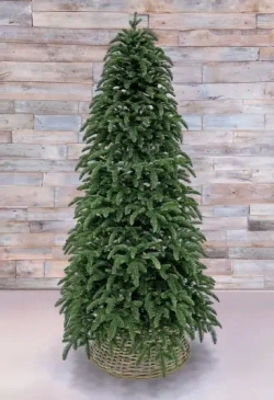Елка Нормандия 230 см., темно зеленая, стройная, литая хвоя, Triumph Tree (72139)