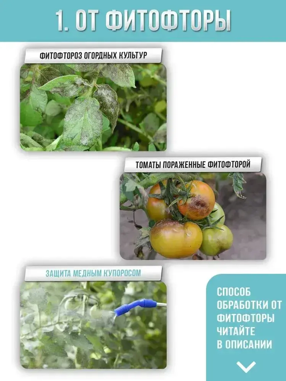 Купорос медный средство от грибка и плесени 1кг.