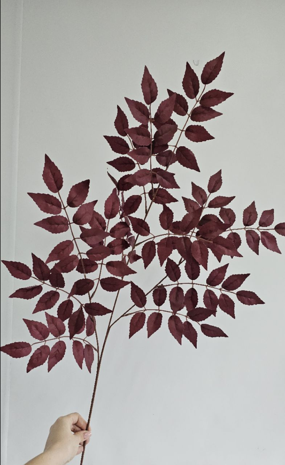 Ветка иглицы / Арт 1244