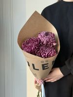 Кулек из одноголовой хризантемы