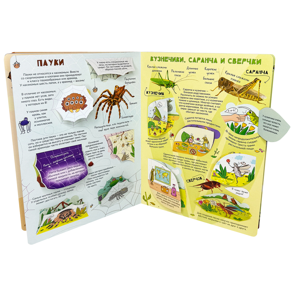 Энциклопедия с окошками (ЦК) Моя первая книга о насекомых