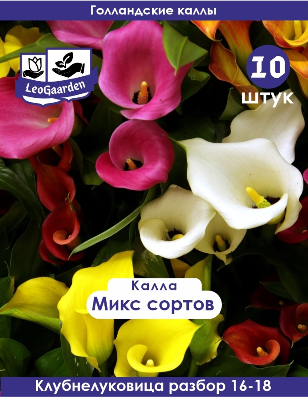 Калла клубнелуковица, Микс сортов, 10шт. Разбор 16/18