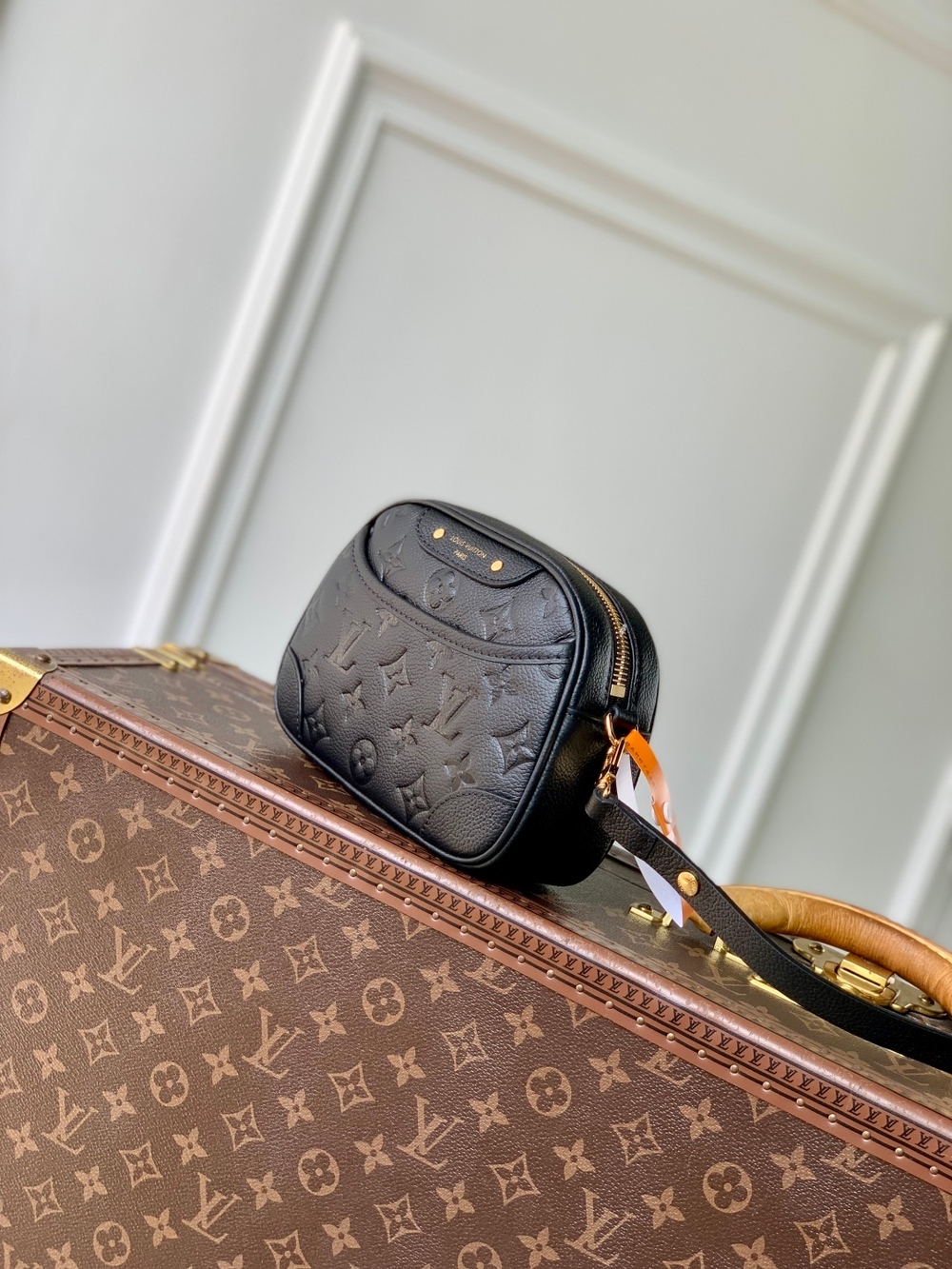 Louis Vuitton Tiny Camera Bag