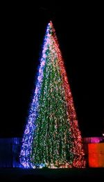 уличная гирлянда "Хамелеон"