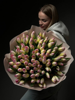 Тюльпаны 101 шт