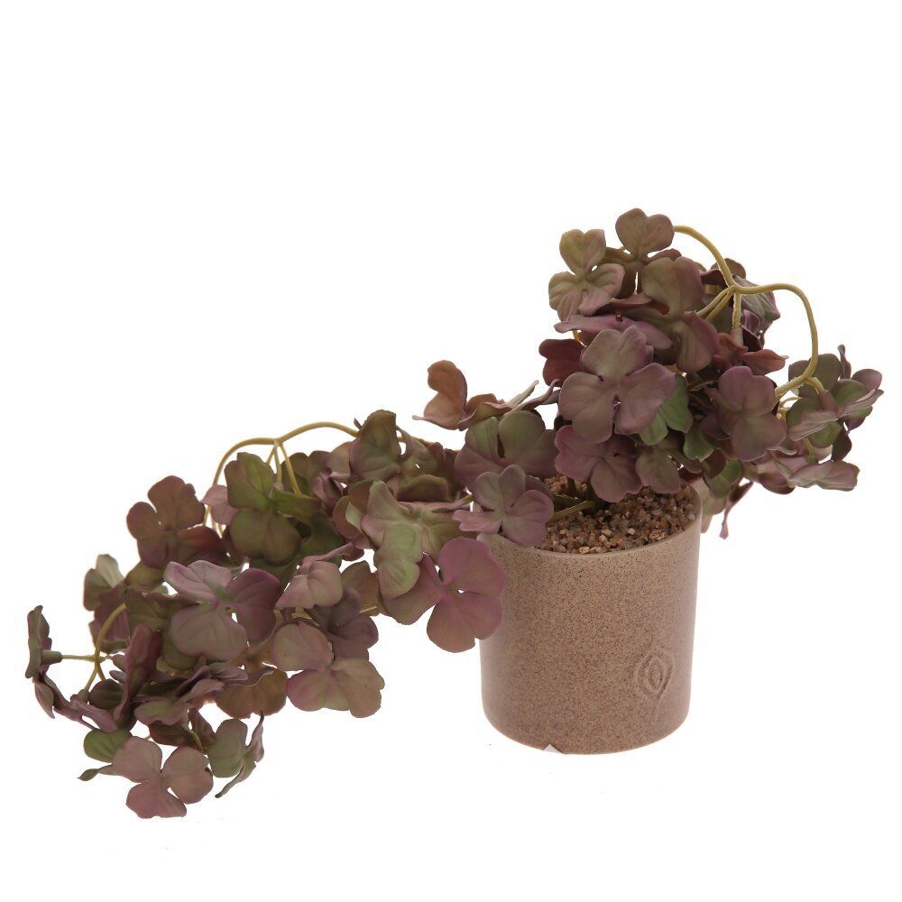 GAEM Цветочная композиция, L12 W12 H30 см