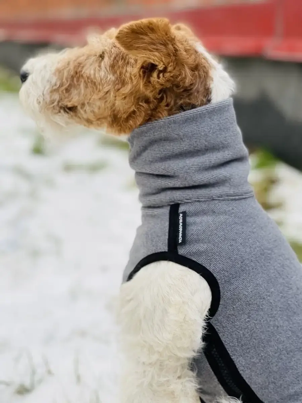 Свитер для собак одежда для басенжди