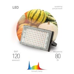 Фитопрожектор для растений светодиодный ЭРА FITO-80W-Ra90-LED-Y полного спектра