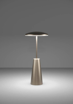 Аккумуляторная настольная лампа Eglo PICCOLA 900924