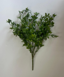 Трава декоративная куст