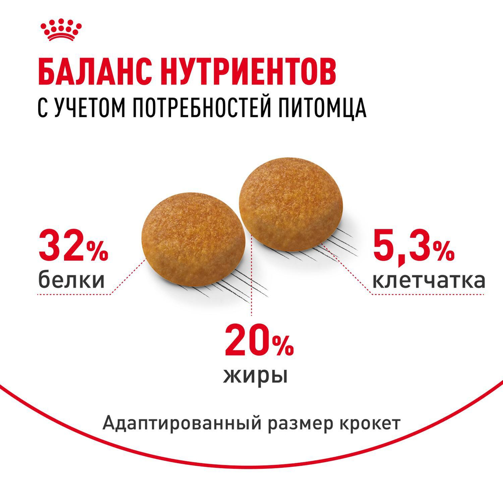 Royal Canin Siberian Adult Корм сухой для взрослых кошек породы Сибирская 0,4 кг