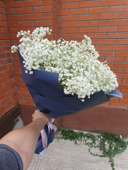 Монобукет из Гипсофилы "Облачко"