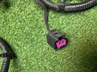 IMG_4870.JPG
