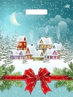 Пакет ПЭ с вырубной ручкой 31х40см (60) (Снежный город) НГ, ламинированный Тико (х50/500)