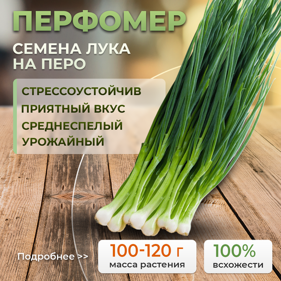 ПЕРФОРМЕР семена лука на перо (Bejo | Alexagro)