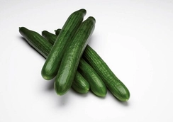 Сенсейт F1 семена огурца (Nunhems / Нюнемс)