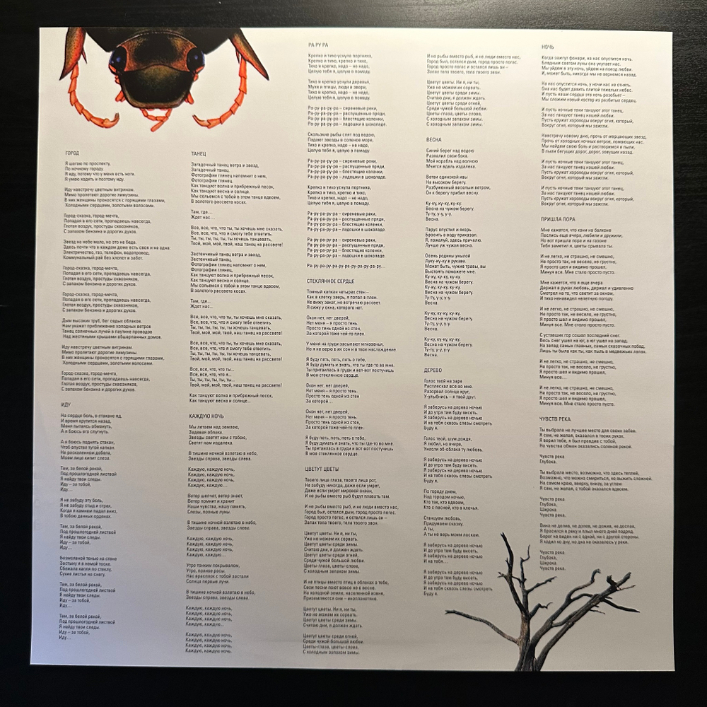 Танцы Минус- Флора-Фауна (2022г.)